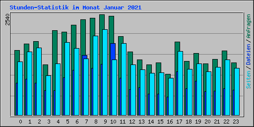 Stunden-Statistik im Monat Januar 2021
