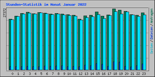Stunden-Statistik im Monat Januar 2022