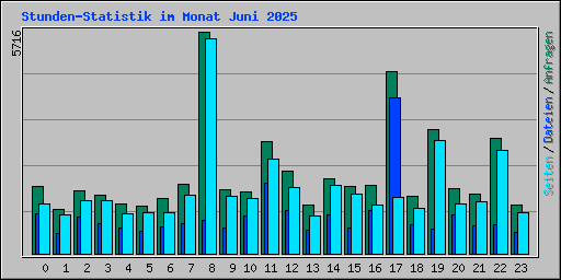Stunden-Statistik im Monat Juni 2025