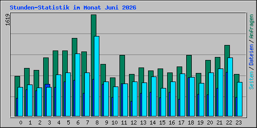 Stunden-Statistik im Monat Juni 2026